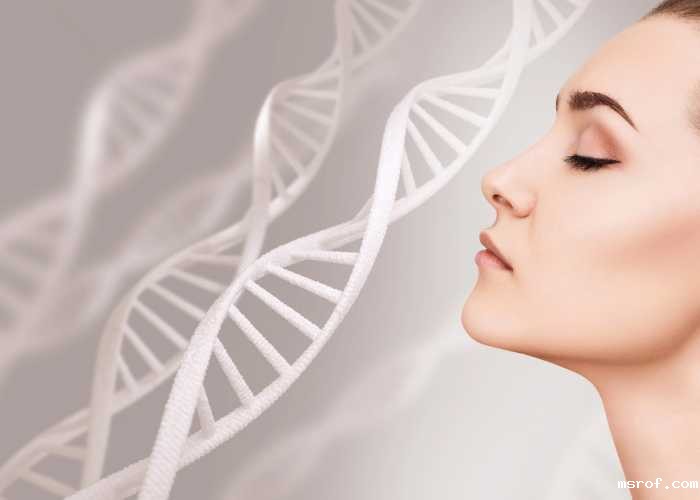 开云体育新人生物 皮肤老化