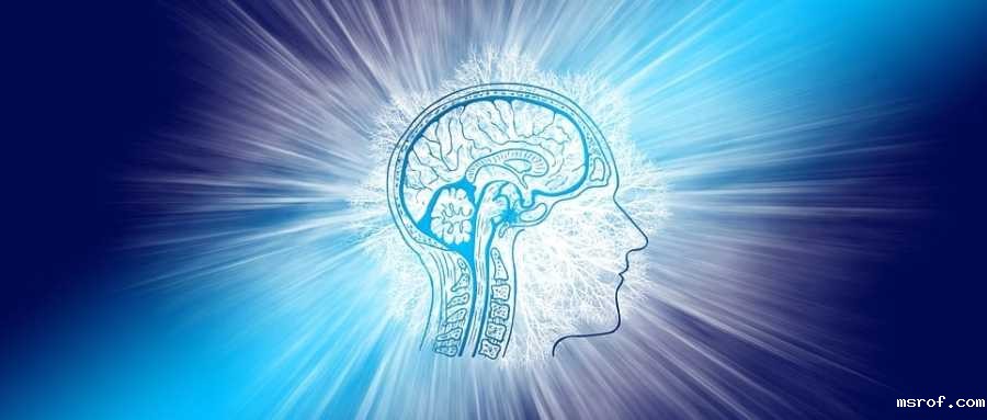 开云体育新人生物 肌肉力量和身体机能的增强