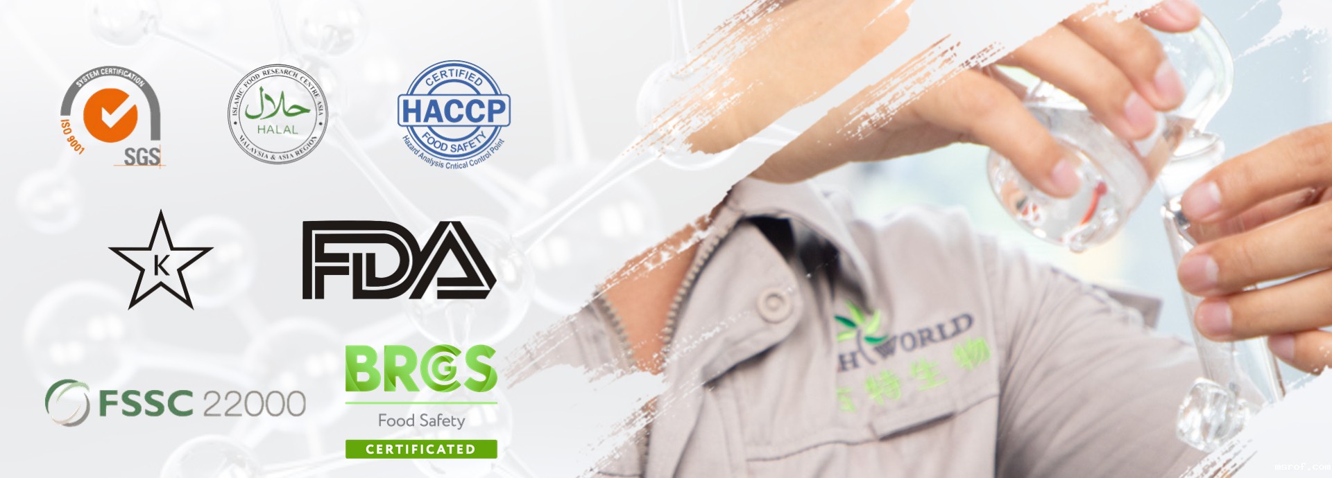 GSH开云体育新人生物