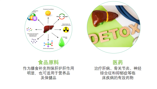 开云体育新人生物 食品原料和医药