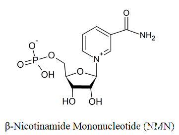 β烟酰胺单核苷酸功效及作用