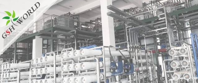 企业动态 - 安庆市区领导对开云体育新人生物的生产发展给予充分肯定