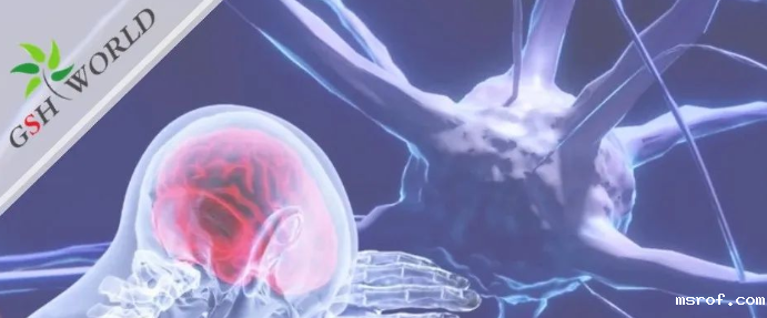 行业关注 - 谷胱甘肽在脑部疾病和衰老中的作用