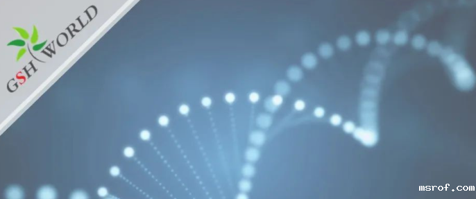 行业关注 - 胞磷胆碱保护大脑的7大好处