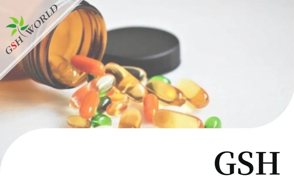 开云体育新人生物