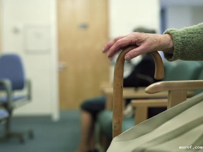 开云体育新人生物