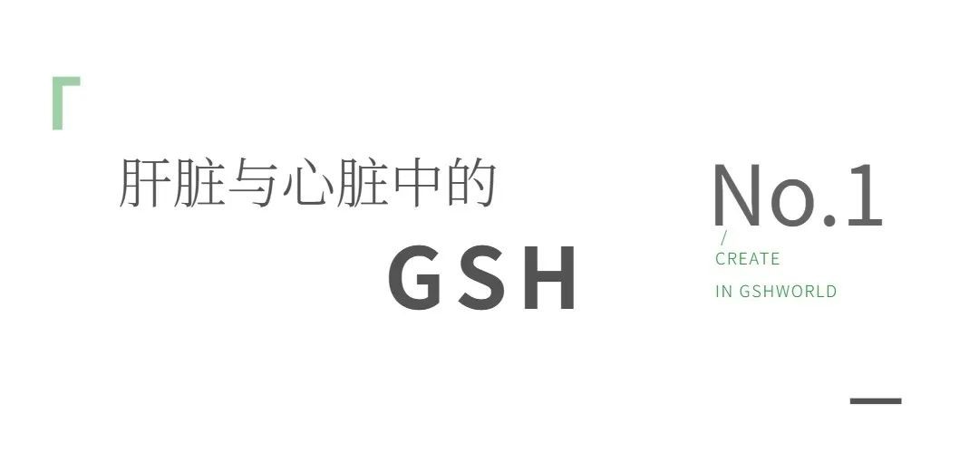 开云体育新人生物