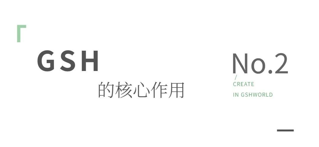 开云体育新人生物