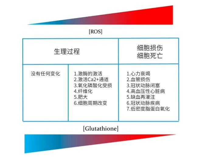开云体育新人生物