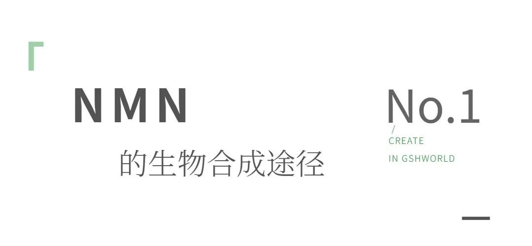 开云体育新人生物