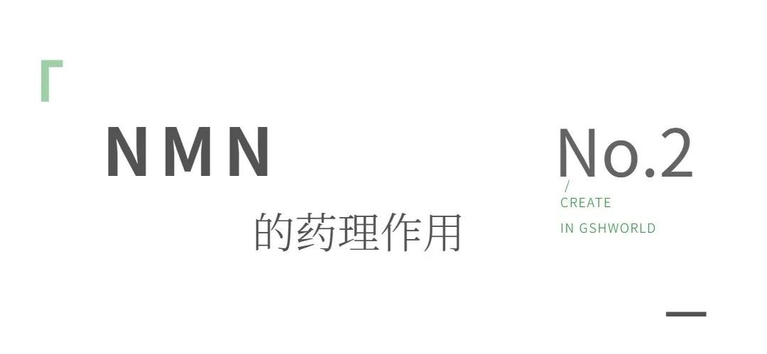 开云体育新人生物