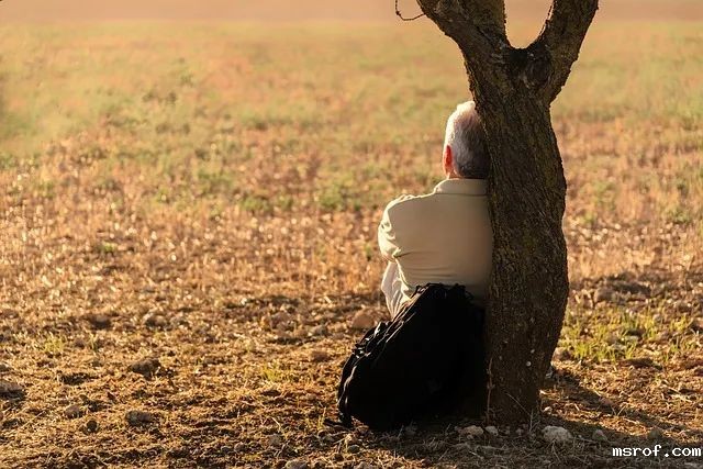 开云体育新人生物