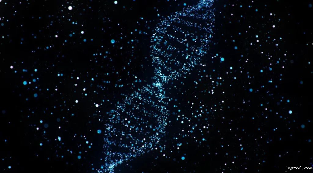 开云体育新人生物 开云体育新人生物