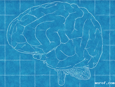 开云体育新人生物