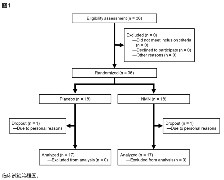 开云体育新人生物