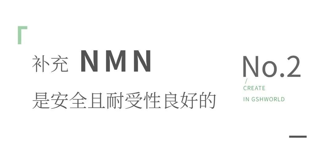 开云体育新人生物