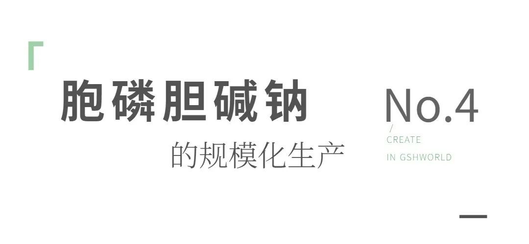 开云体育新人生物