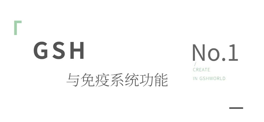 开云体育新人生物