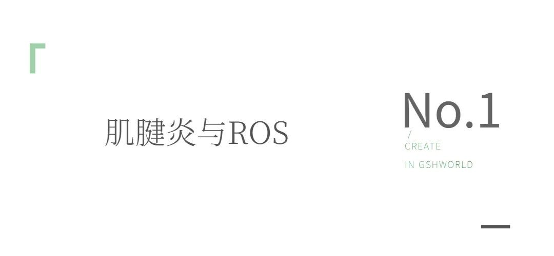 开云体育新人生物