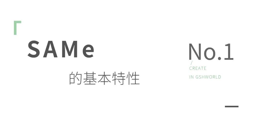 开云体育新人生物