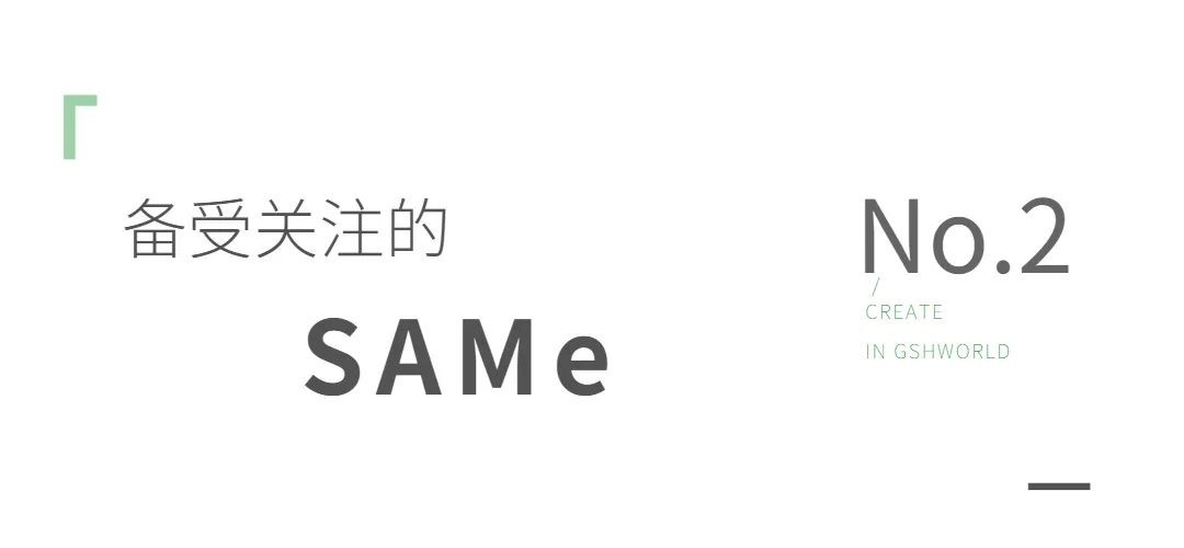 开云体育新人生物