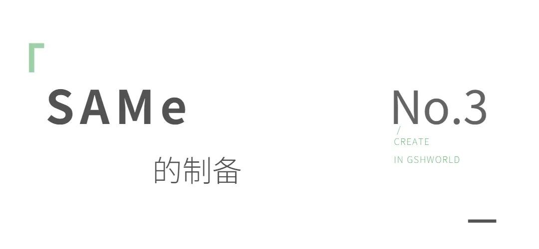 开云体育新人生物