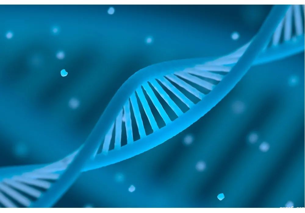 开云体育新人生物