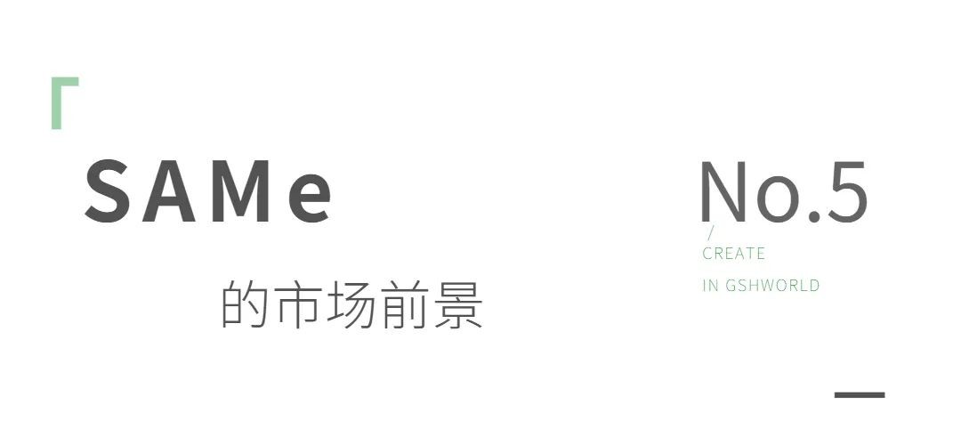 开云体育新人生物