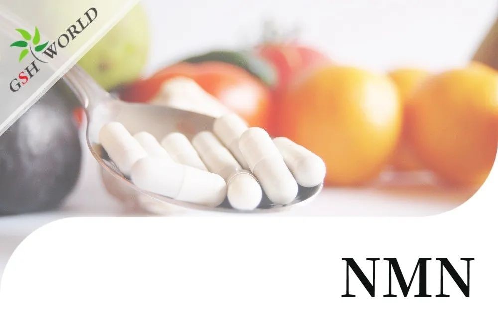 开云体育新人生物