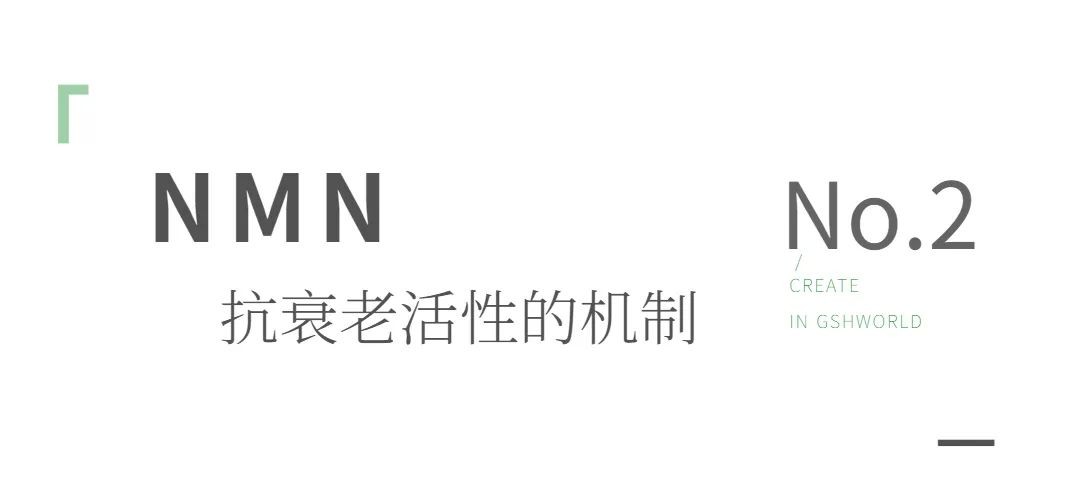 开云体育新人生物