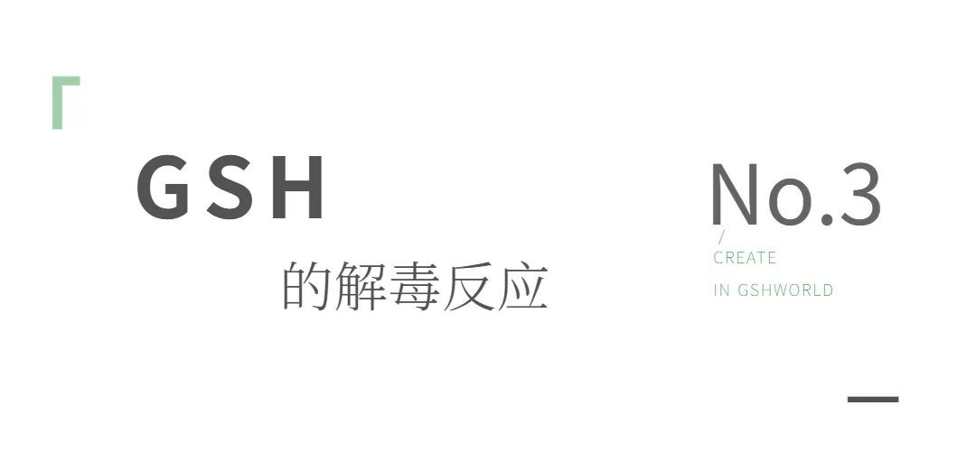 开云体育新人生物