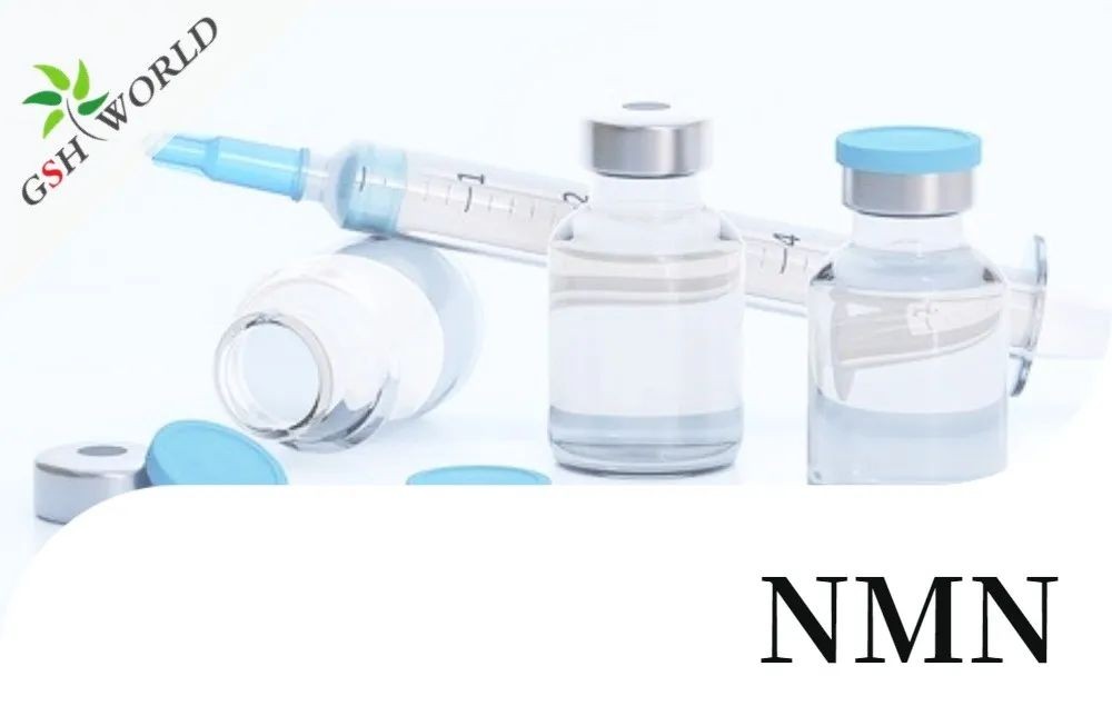 行业关注 - NMN治疗多囊卵巢综合征