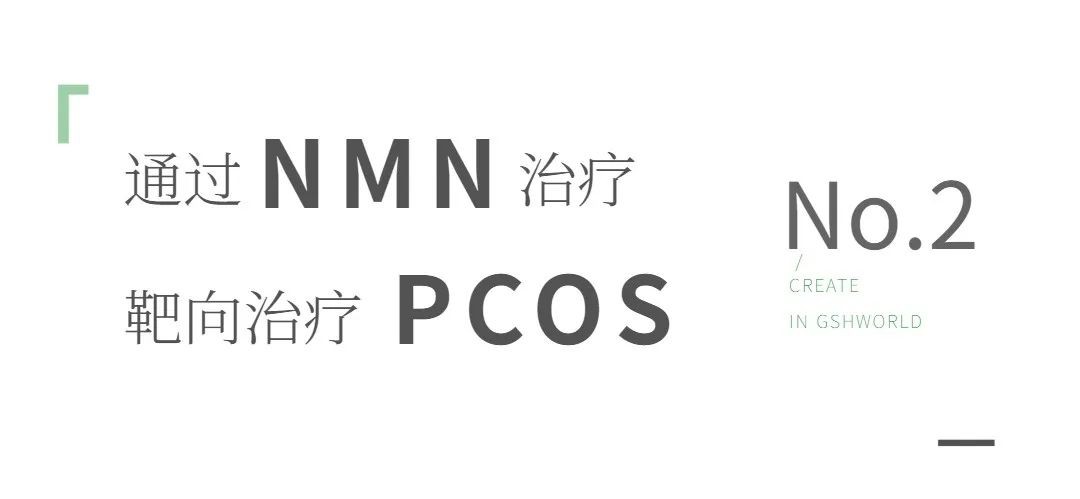 开云体育新人生物