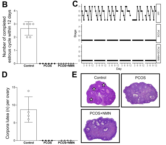 开云体育新人生物