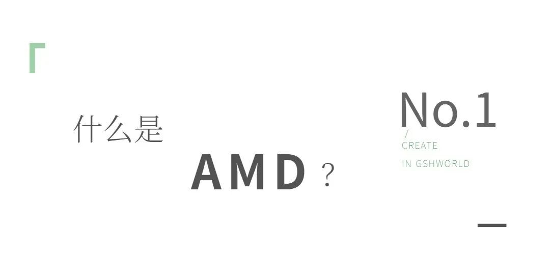 开云体育新人生物