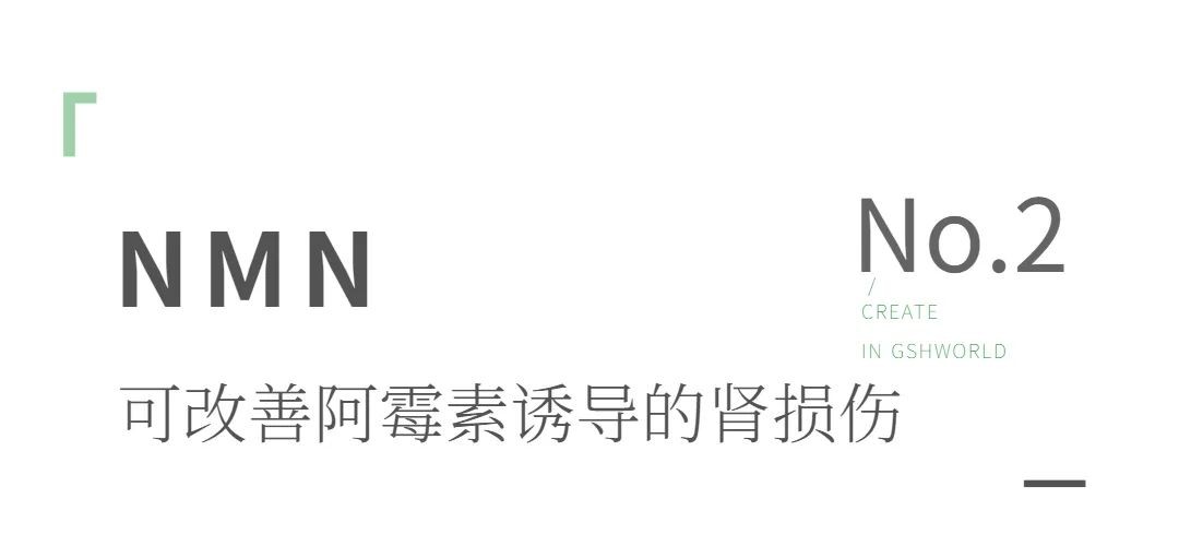 开云体育新人生物 开云体育新人生物