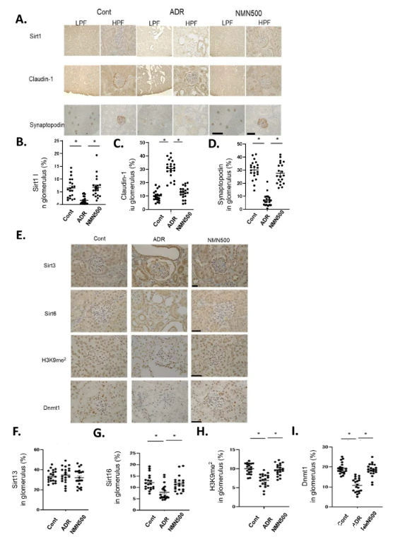 开云体育新人生物 开云体育新人生物