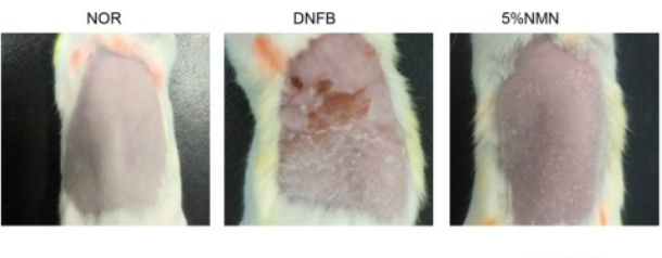 开云体育新人生物 开云体育新人生物