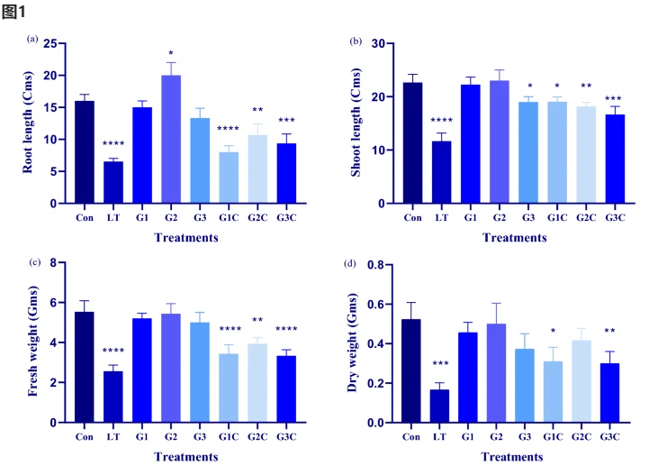 开云体育新人生物