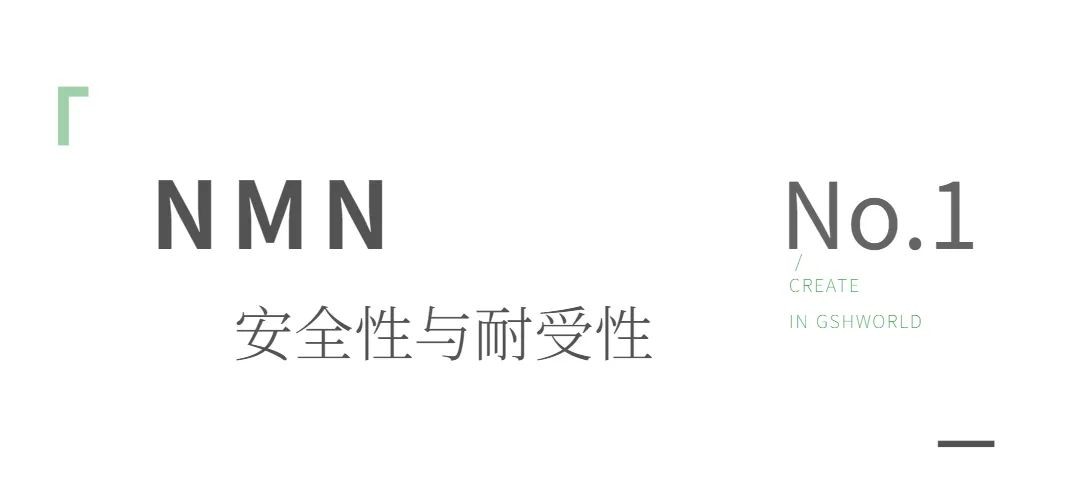 开云体育新人生物