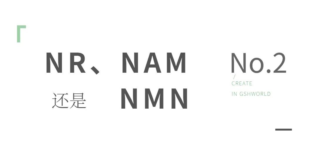 开云体育新人生物