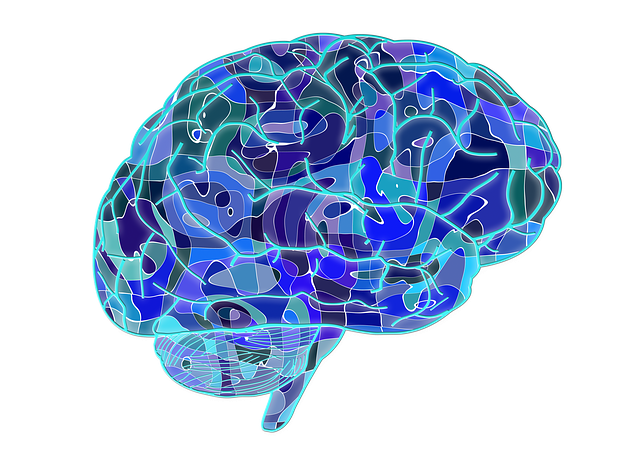 开云体育新人生物