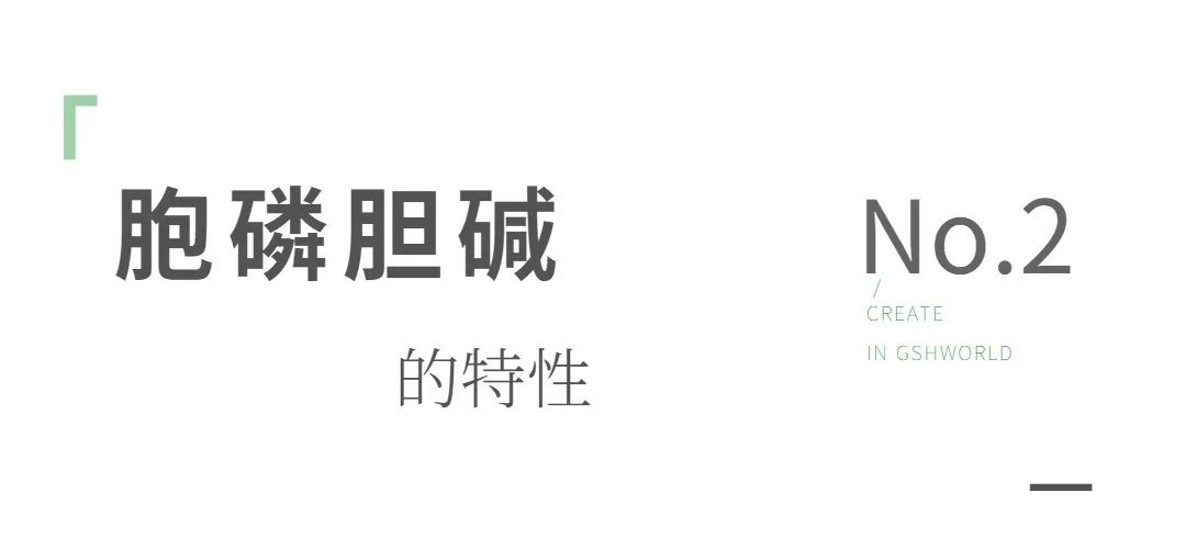 开云体育新人生物