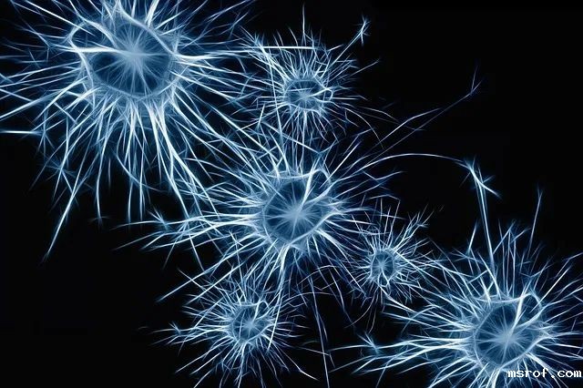 开云体育新人生物