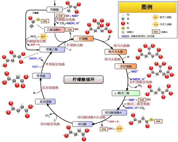 开云体育新人生物 开云体育新人生物