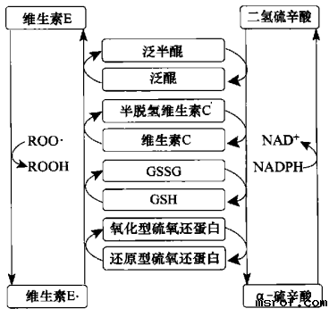 开云体育新人生物 开云体育新人生物