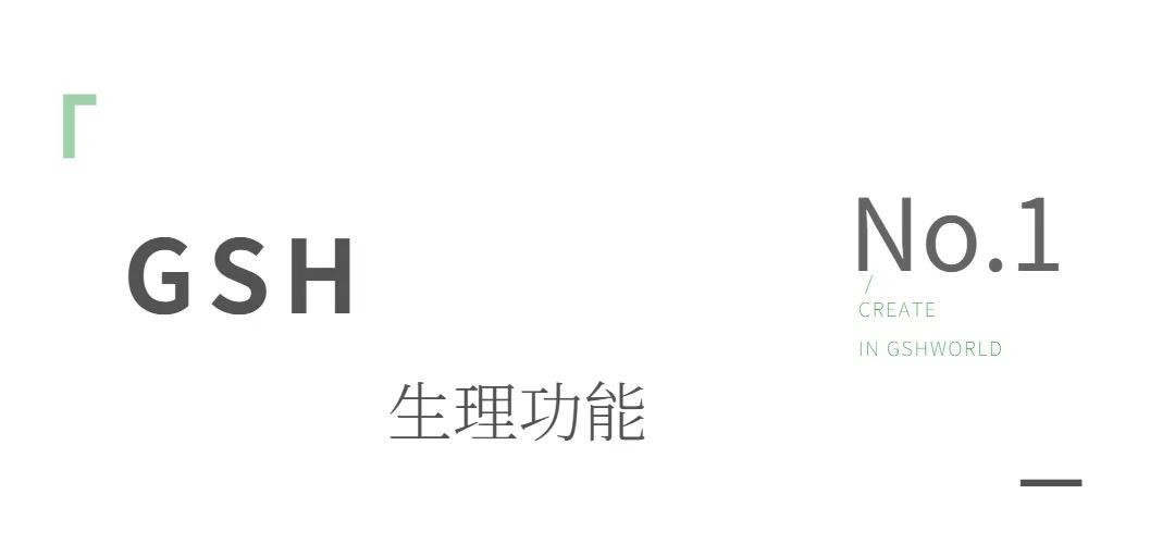 开云体育新人生物