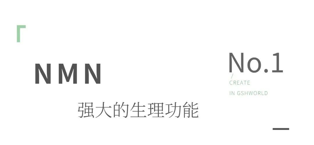 开云体育新人生物