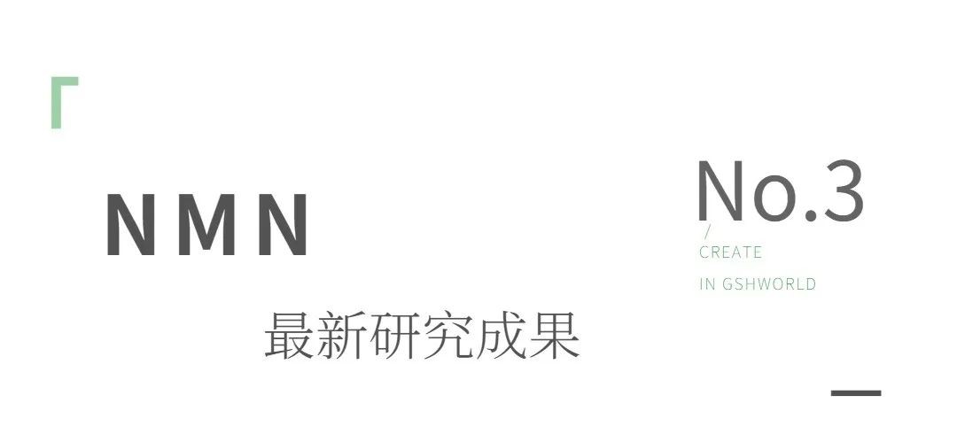 开云体育新人生物