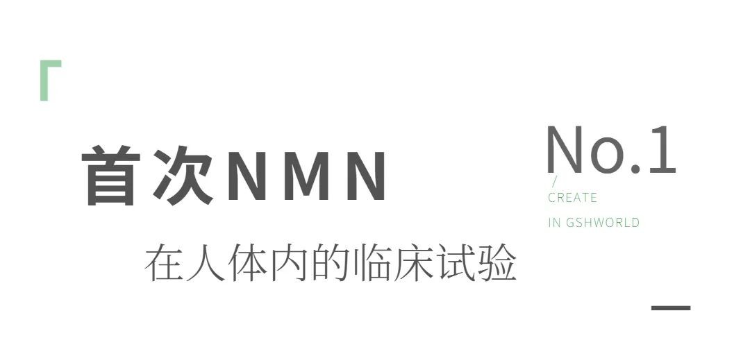 开云体育新人生物